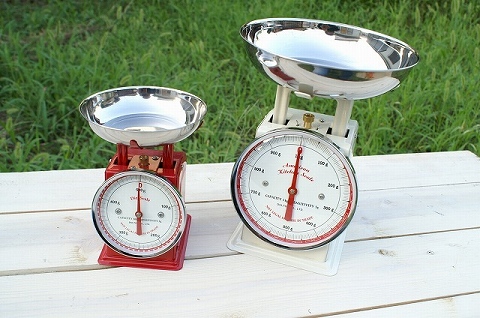 Diet scale