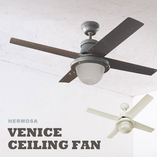 Ceiling fan light